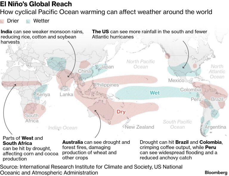 El Niño Likely Strongest in 75 Years, Forecasters Say