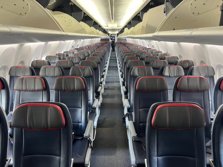 #PigOnBoard: Man Calls American Flight Attendant A Pig, Posts Her Picture Online (Shame On Him!)