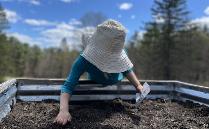 We'll Grow All Of Our Food! And Other Misconceptions I Had About Rural Life