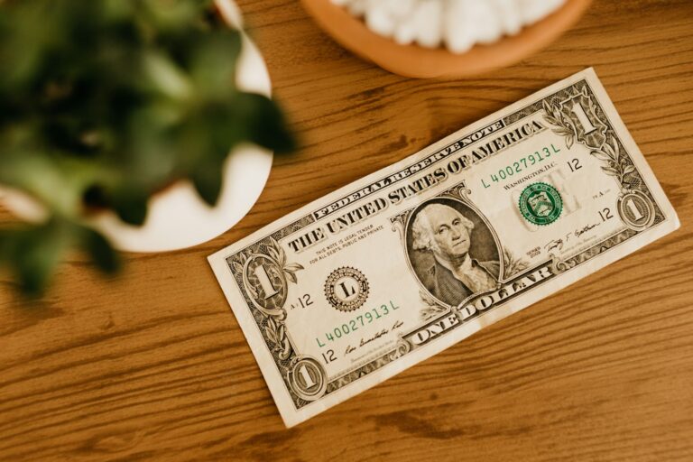 1 us dollar bill; Repayment Assistance Plan
